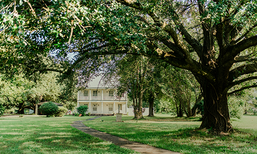 Interested in a French Table? Image 2
