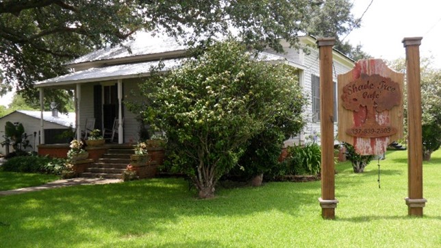 Dreams Foundation Image 2