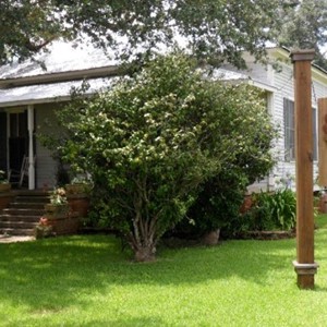 Dreams Foundation Image 2